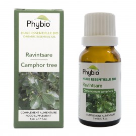 Camphor essential oil Phybio - Fl. 5ml